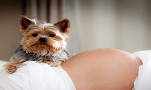 怎么预防孕期阑尾炎