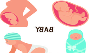 胎儿胎心率低怎么回事