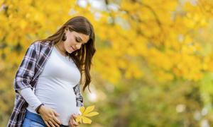 怀孕期间孕妇能减肥吗